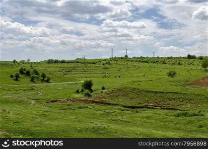 Background of field with grass, bush and trees , Zavet, Bulgaria