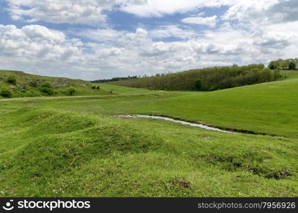 Background of field with grass, bush and trees , Zavet, Bulgaria