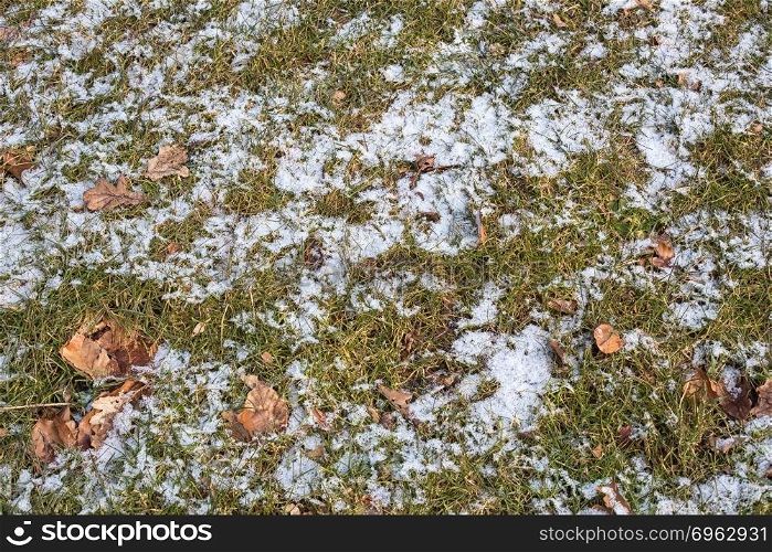 Background of forest ground with grass, leaves and snow in winter. Background of forest ground with grass, leaves and snow