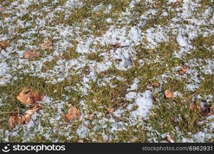 Background of forest ground with grass, leaves and snow in winter. Background of forest ground with grass, leaves and snow