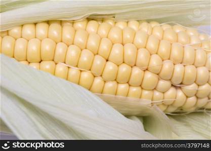 Background of fresh corn closeup