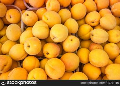 Background of fresh natural apricot