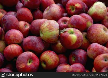Background of fresh red apples