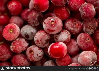 Background of freshly frozen cherries covered by frost