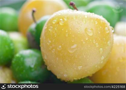 background of green and yellow plum with water drops