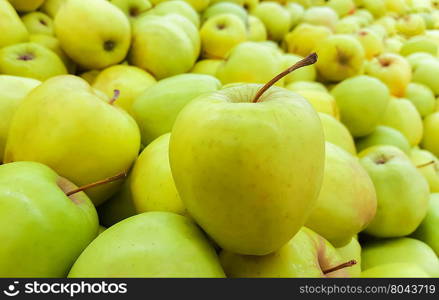 background of green apples . background of fresh green apples. close-up of an apple