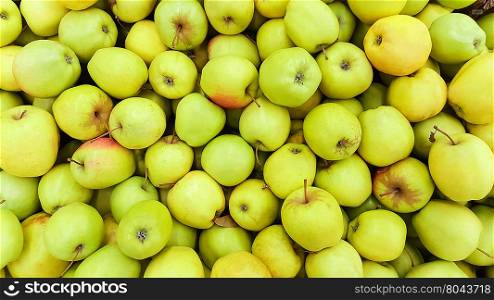 background of green apples. Background of fresh green apples. Common apple plan
