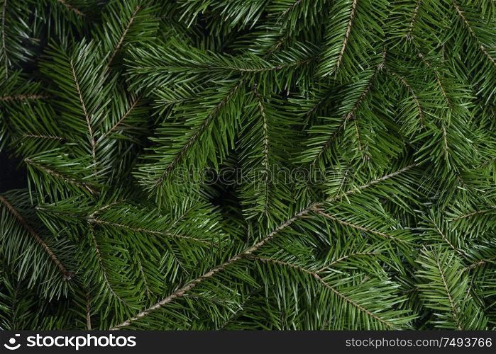 Background of green fir branches for Christmas New Year celebration greeting card design. Background of green fir branches