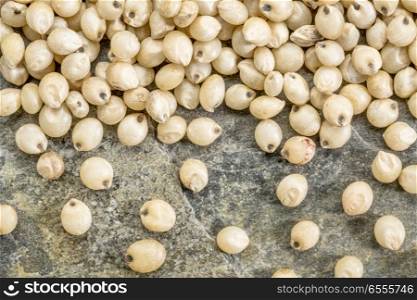 background of healthy, gluten free white sorghum grain on a slate rock