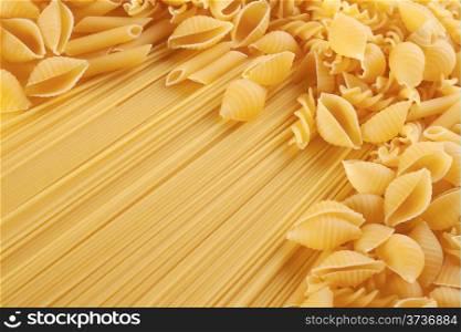 Background of long spaghetti noodles and scattered seashells