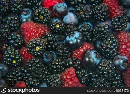 Background of many fresh forest fruits - blackberries, raspberries and berries in close-up