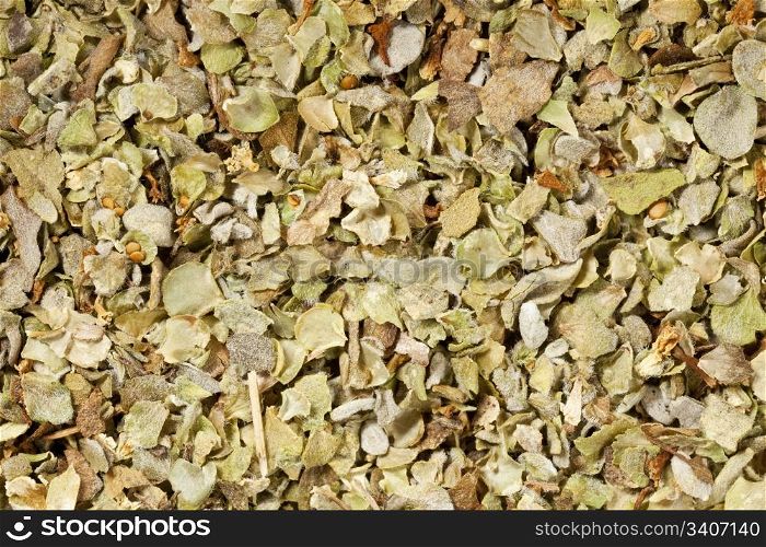 background of marjoram herb seasoning at life-size magnification