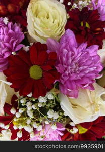 background of multi-colored flowers close-up. shallow depth of focus. selective focus..