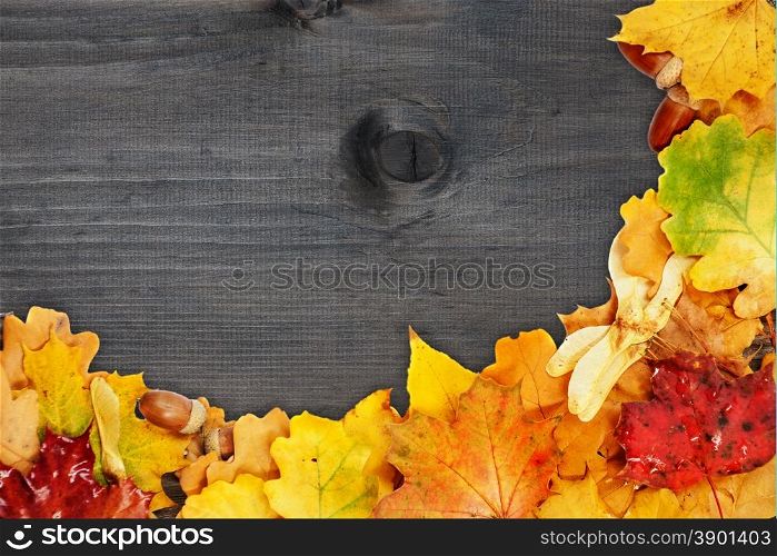 Background of multicolored autumn leaves on the old wooden boards
