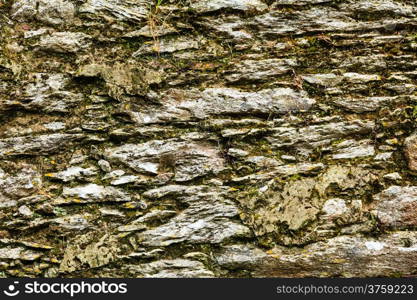 Background of natural gray stone wall texture rough rock surface