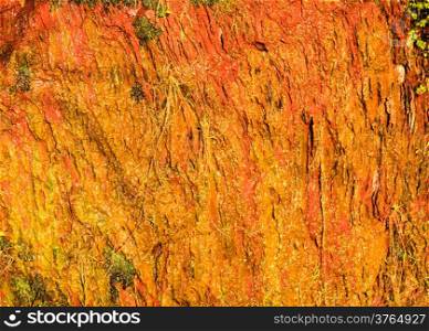 Background of natural wet orange stone wall texture rough rock surface
