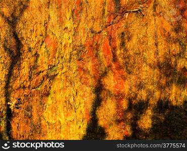 Background of natural wet orange stone wall texture rough rock surface