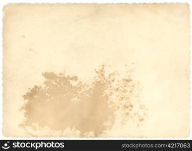 Background of old beige photo paper