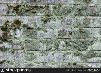 Background of old mossy brick wall surface