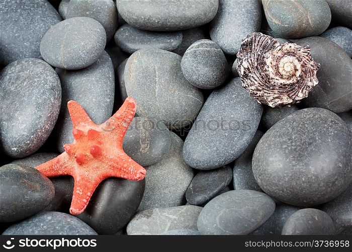 Background of pebbles with shells and starfish