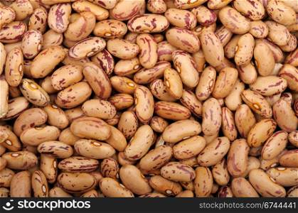 background of raw dry uncooked Pinto beans