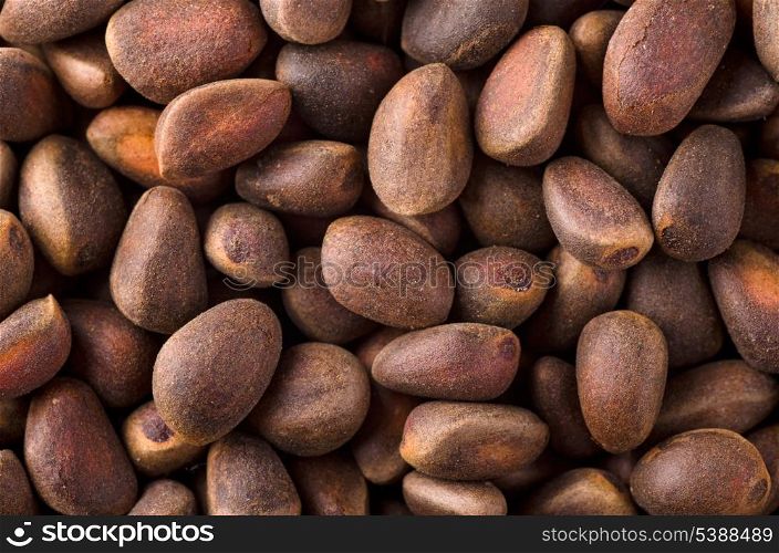 Background of raw fresh pine nuts