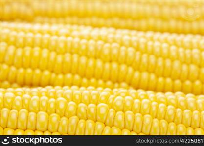 background of ripe yellow corn