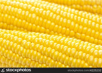 background of ripe yellow corn