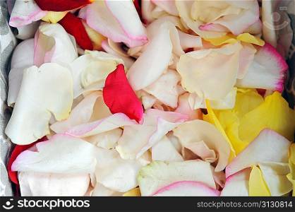 background of rose petals on table, close up