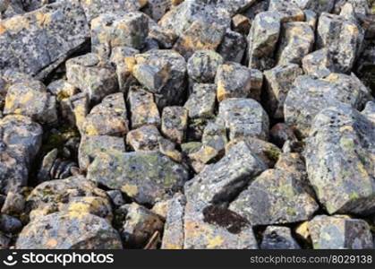 Background of rough gray stones with lichen in tundra