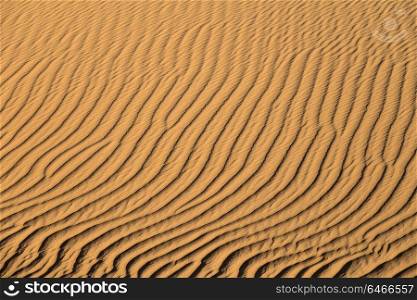 Background of sand dunes in Sahara desert
