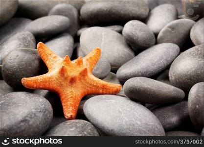 Background of sea stones with orange starfish