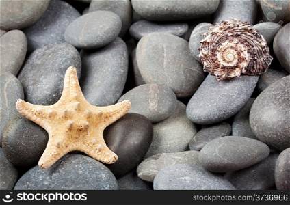 Background of sea stones with sea shell and starfish