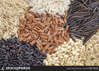 background of six rice grains including different brown rice grains, wild and black forbidden rice