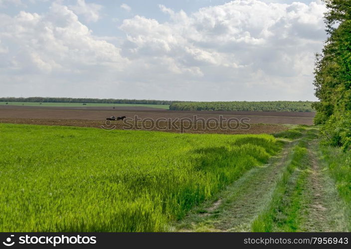 Background of sky, clouds and corn field with fallow, Ludogorie, Bulgaria