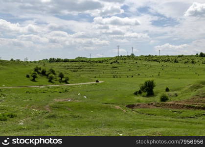 Background of sky, clouds and field with grass, trees, milch-cow, Zavet, Bulgaria