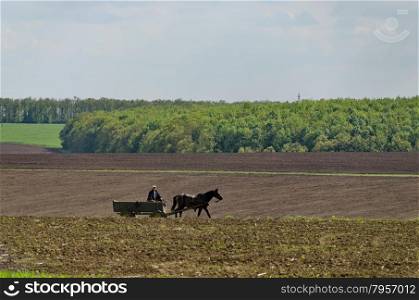 Background of sky, clouds, field and cart, Ludogorie, Bulgaria
