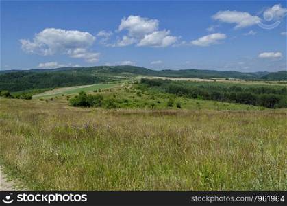 Background of sky, clouds, field and forest, Plana mountain, Bulgaria