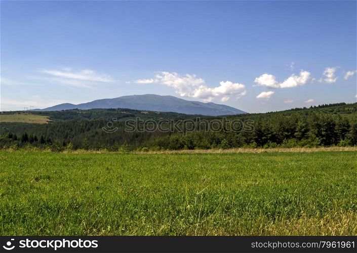 Background of sky, clouds, field, mountain and forest, Plana mountain, Vitosha, Bulgaria