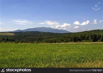 Background of sky, clouds, field, mountain and forest, Plana mountain, Vitosha, Bulgaria