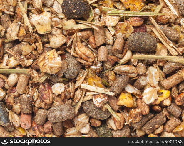 background of sportive elite muesli for horses. macro