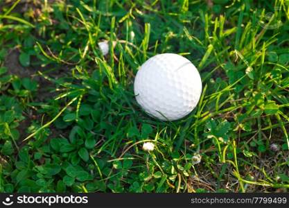 background of spring green grass and golf ball