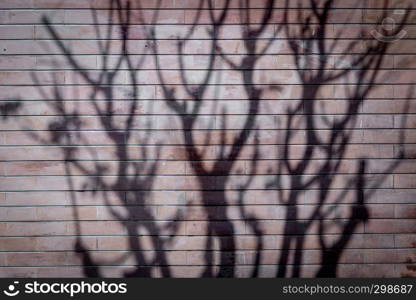 Background of stone wall texture with tree shadow