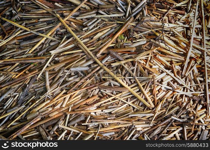 background of straw, natural texture