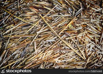 background of straw, natural texture