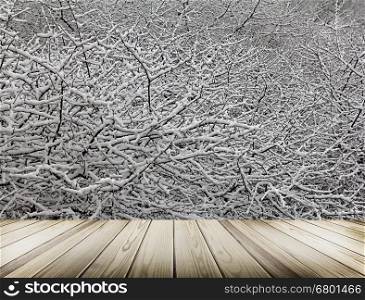 Background of the winter forest. Trees in snow.Invoice and texture of branches of the winter forest.