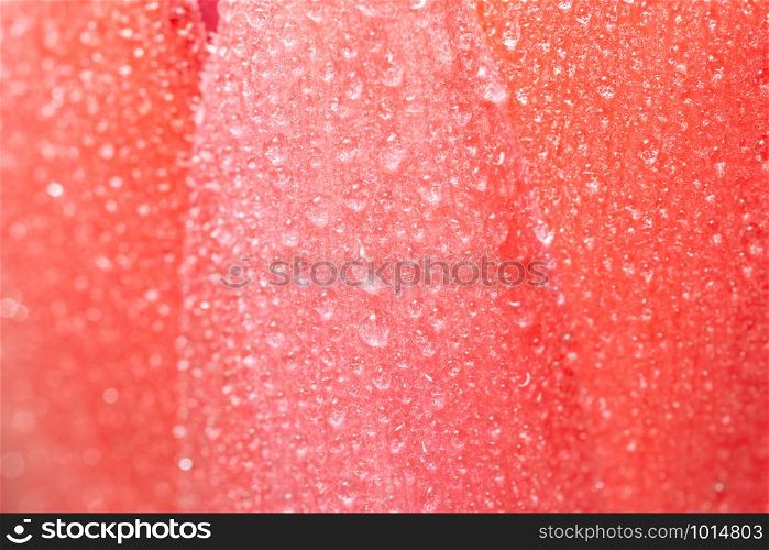 Background of water drops on pink flower petals