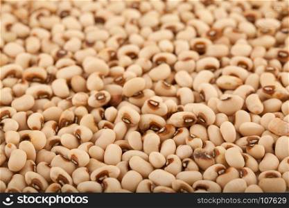 background of white kidney bean