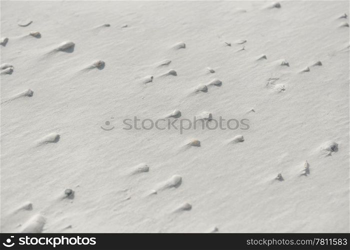 Background of windswept pebbles and sand on a florida beach.