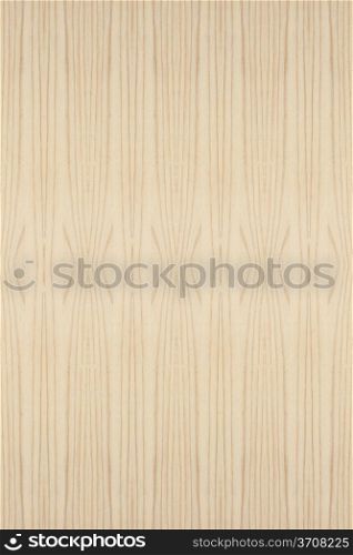 Background of wood texture closeup